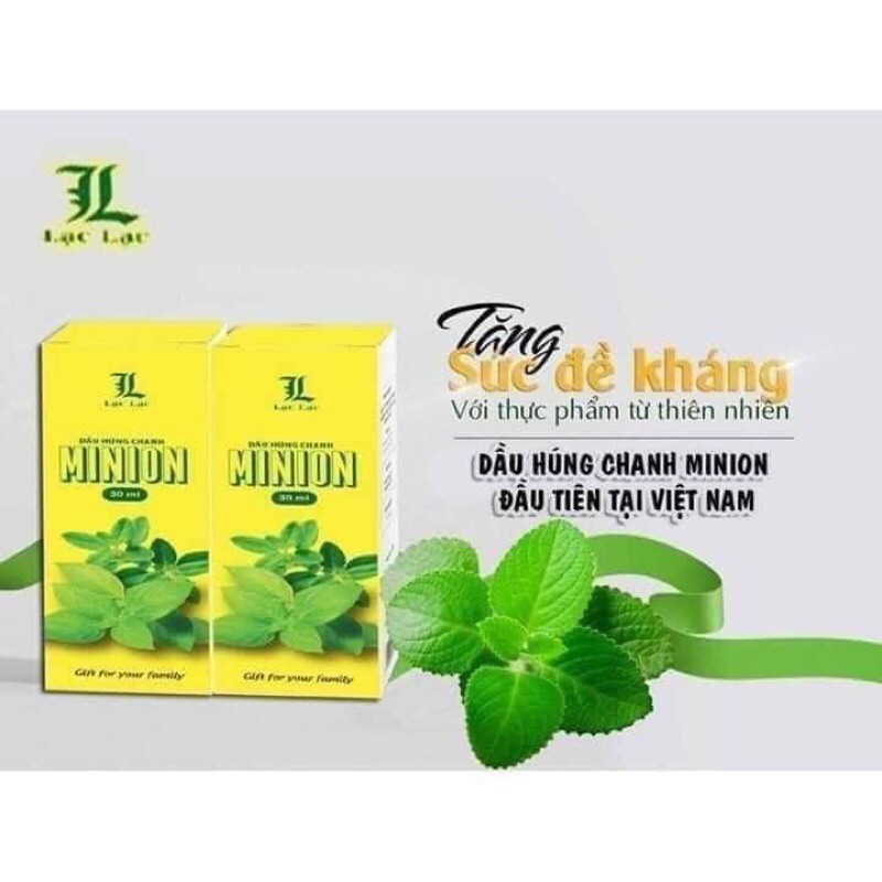 dầu húng chanh minion