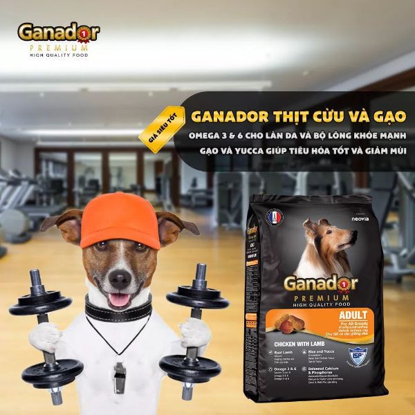 [3kg] Hạt Ganador Adult cho chó trưởng thành vị Cừu & Gạo