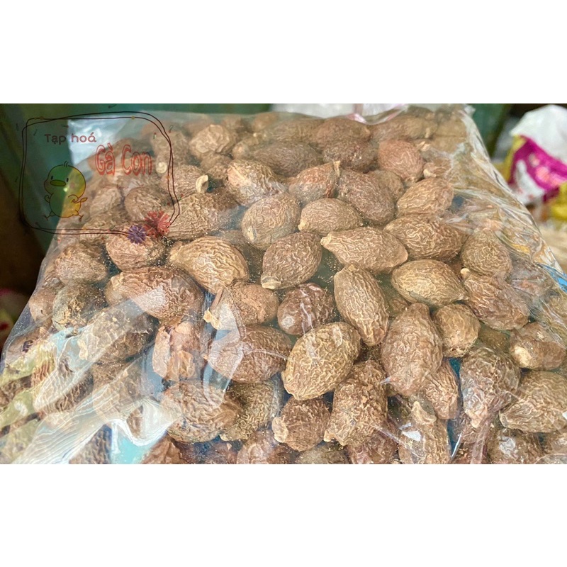 Hạt đười ươi  100g loại 1