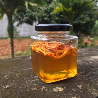 Mật ong rừng nguyên chất, Mật ong ngâm đông trùng hạ thảo 120ml