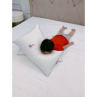 RUỘT GỐI CÁC LOẠI