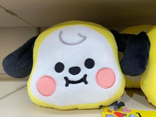 BT21 Baby Cushion