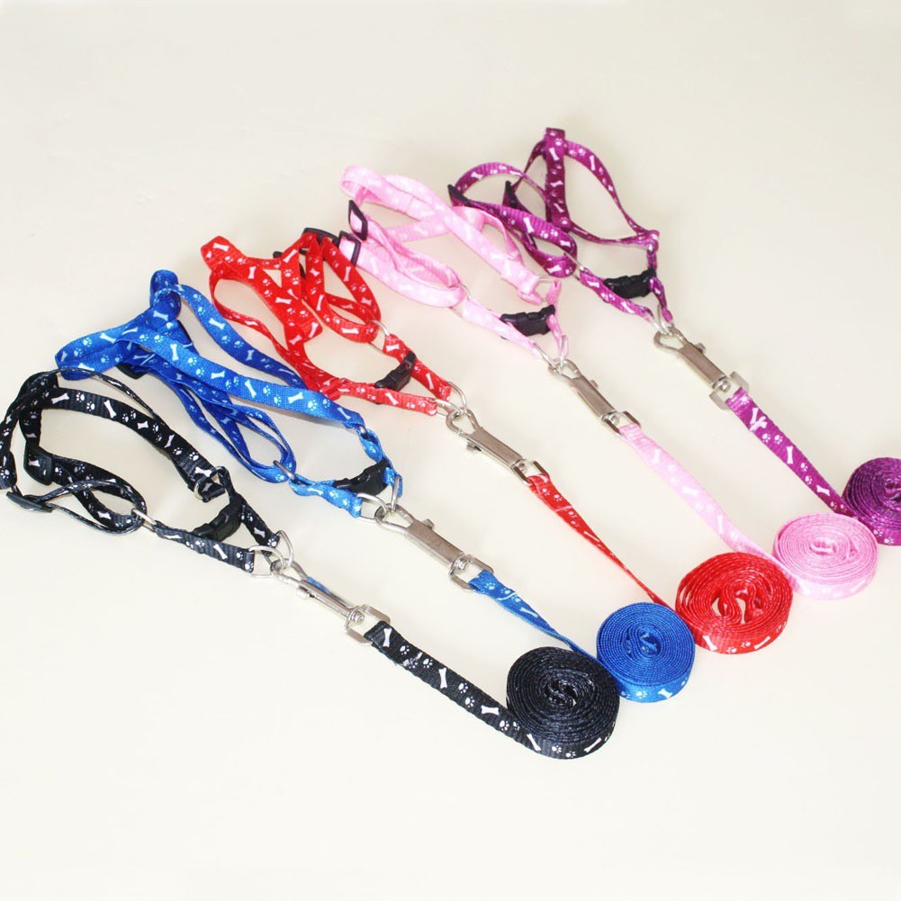Dây dắt thú cưng bằng nylon đi dạo có gắn đèn LED