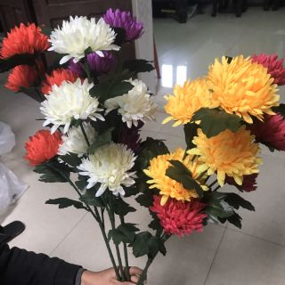 hoa cúc vạn thọ vải. 25k/cành