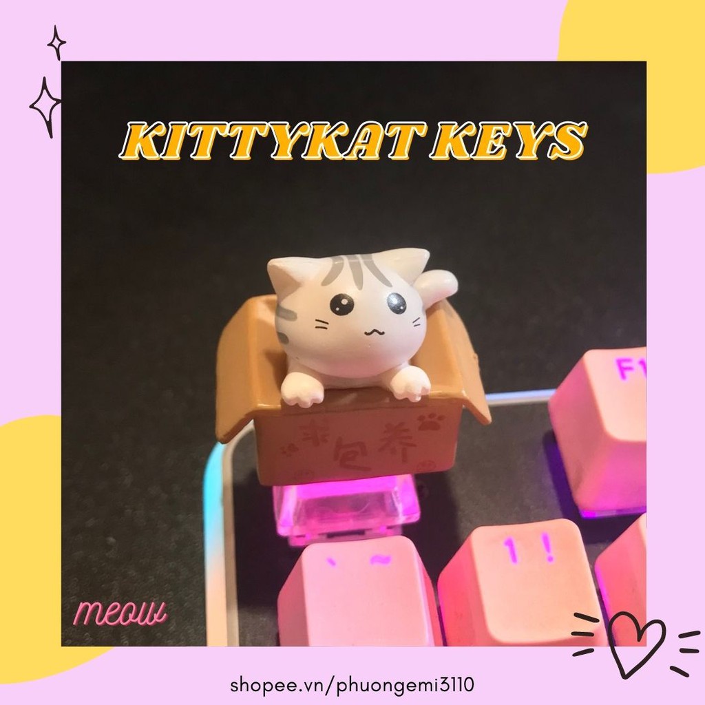 Keycap mèo con trong hộp  🐱 Keycaps xuyên led cat in box trang trí bàn phím cơ gaming