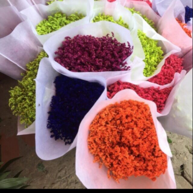 Hoa trang trí phòng phamtinh