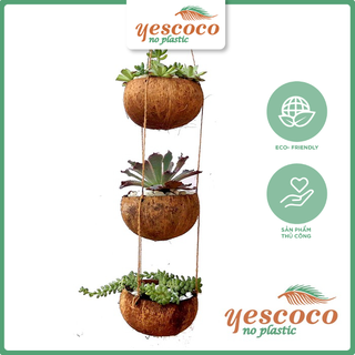 Bộ Chậu trồng hoa bằng  Gáo Dừa Treo 3 tầng|| YESCOCO XƯỞNG SX