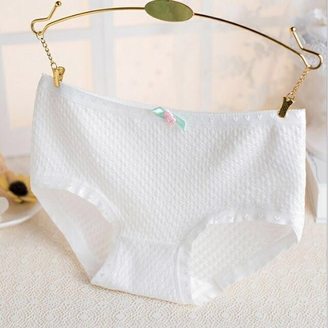 Quần Lót Cotton Thông Hơi Siêu Thoáng mã 885 (1 quần) | BigBuy360 - bigbuy360.vn