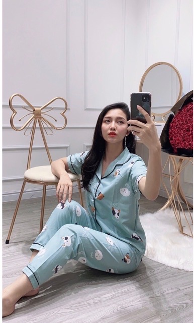 Bộ Pijama Tay Ngắn Quần Dài ( Mẫu Số 1 - 20) | BigBuy360 - bigbuy360.vn