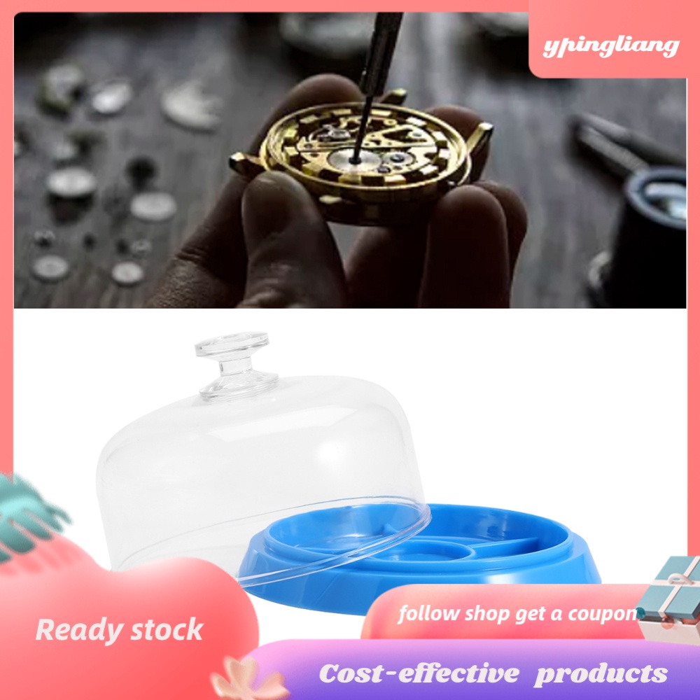 Khay Nhựa 6 Ngăn Đựng Đồng Hồ Đeo Tay Tiện Dụng