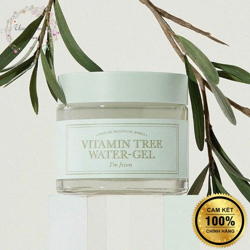 Kem dưỡng ẩm Im From I’m From Vitamin Tree Water Gel 50ml