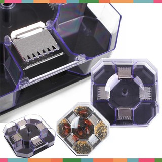 GIÁ GỐC -  Dụng cụ bẫy bắt gián thông minh - Shop Huyền Tít