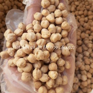 Đậu gà Ấn Độ (Đậu răng ngựa)