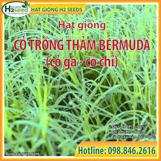 Hạt giống cỏ bermuda - gói 20g - cỏ gà - cỏ thảm cảnh - cỏ sân vườn