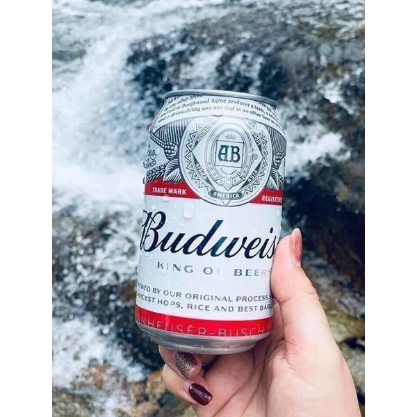 Bia nhập thương hiệu Budweiser 24 lon, 330ml💥tặng túi Slingbag thời trang