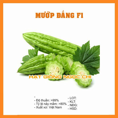 Hạt Giống Mướp Đắng, Khổ Qua - 10 Hạt