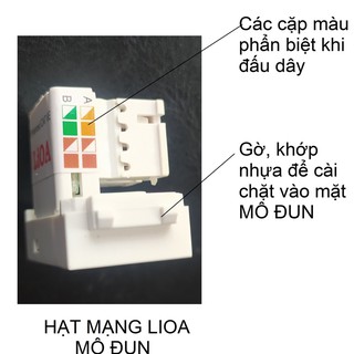 CÁC HẠT TÍN HIỆU LiOA - MÔ ĐUN