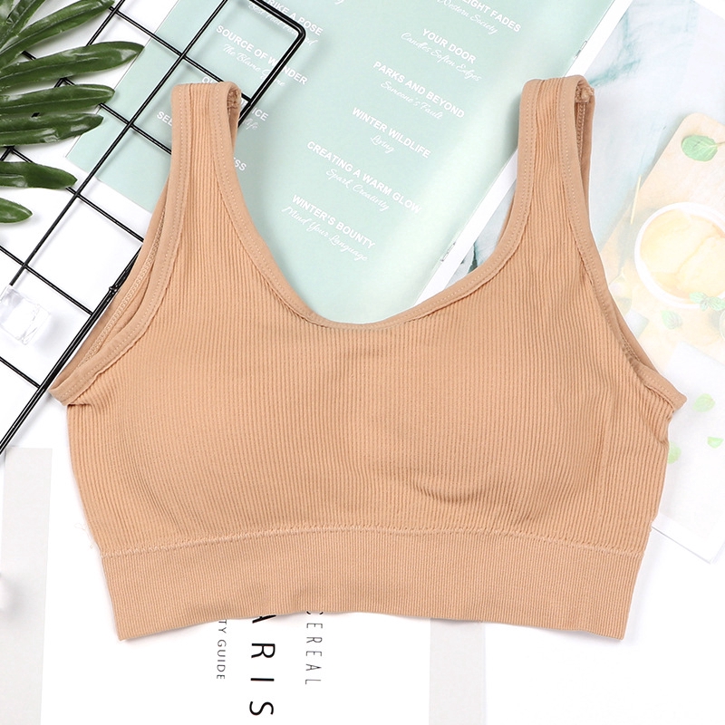 Áo Ngực Thể Thao Không Đường May Thời Trang Cho Nữ