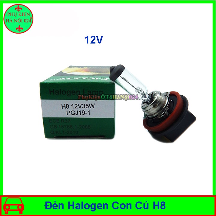 Bóng đèn Halogen Con Cú H8 12V 35W