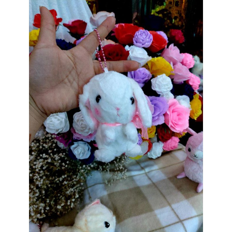 Gấu bông amuse size nhỏ
