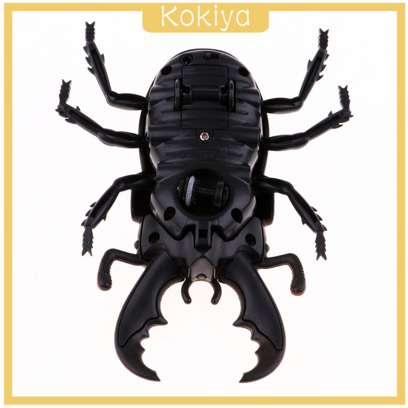 Trang trí tiệc Halloween Đồ chơi bọ cánh cứng RC đáng sợ cho trẻ em Trò vui nhộn