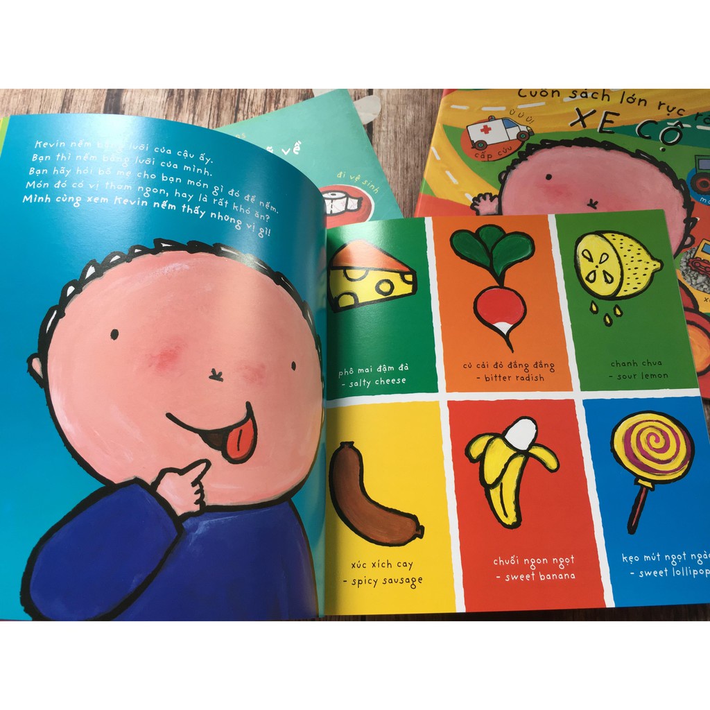 Sách - Bộ 6 Cuốn Sách Lớn Rực Rỡ Về: Loài Vật / Bốn Mùa / Cảm Xúc / GIác Quan/ Kỹ Năng / Xe Cộ