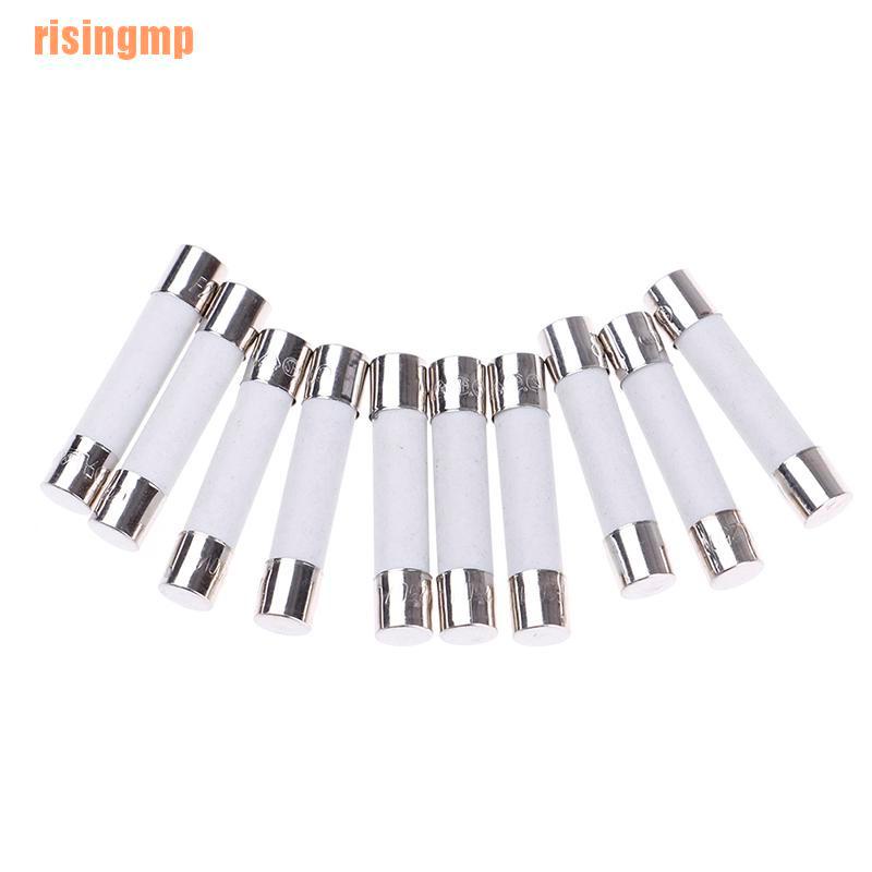 Bộ 10 Cầu Chì Sứ 20A 250V 6x30mm Cho Lò Vi Sóng