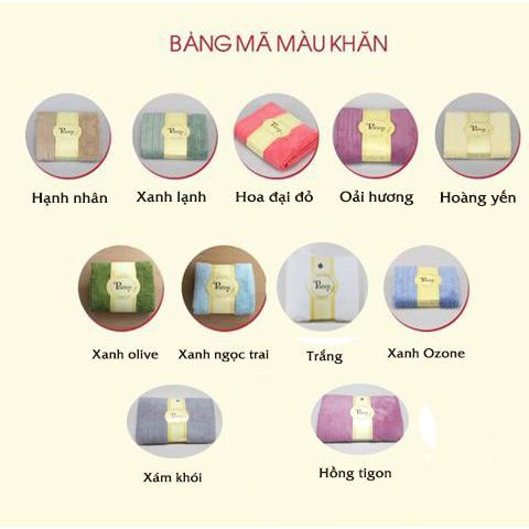 COMBO 5 KHĂN MẶT NGƯỜI LỚN 29X45CM