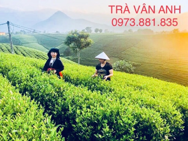 Trà Thái Nguyên Đặc Sản  (Freeship) Búp Nhỏ Nước Xanh Đậm Đà | BigBuy360 - bigbuy360.vn
