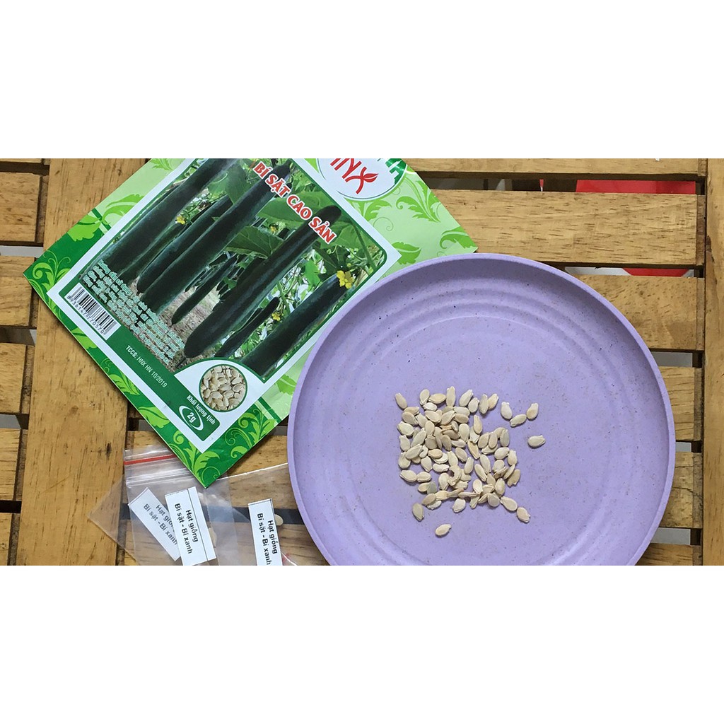 [Bán sỉ] - Hạt giống bí đao xanh (bí xanh - bí sặt) cao sản