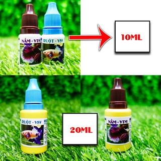 Đường Ruột + Nấm - Hỗ trợ giảm túm lắc tiêu hóa cho hồ cá nhỏ betta guppy