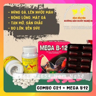 Combo nuôi gà C21 và Mega B12 săn chắc, hừng gà, bo lớn