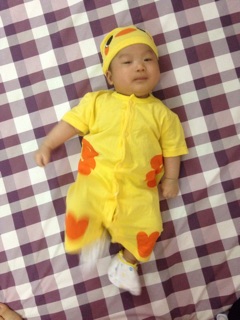 Combo 2 Body thú và hoa quả cho béi