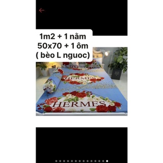 COMBO 4 BỘ GA NHÚNG BÈO
