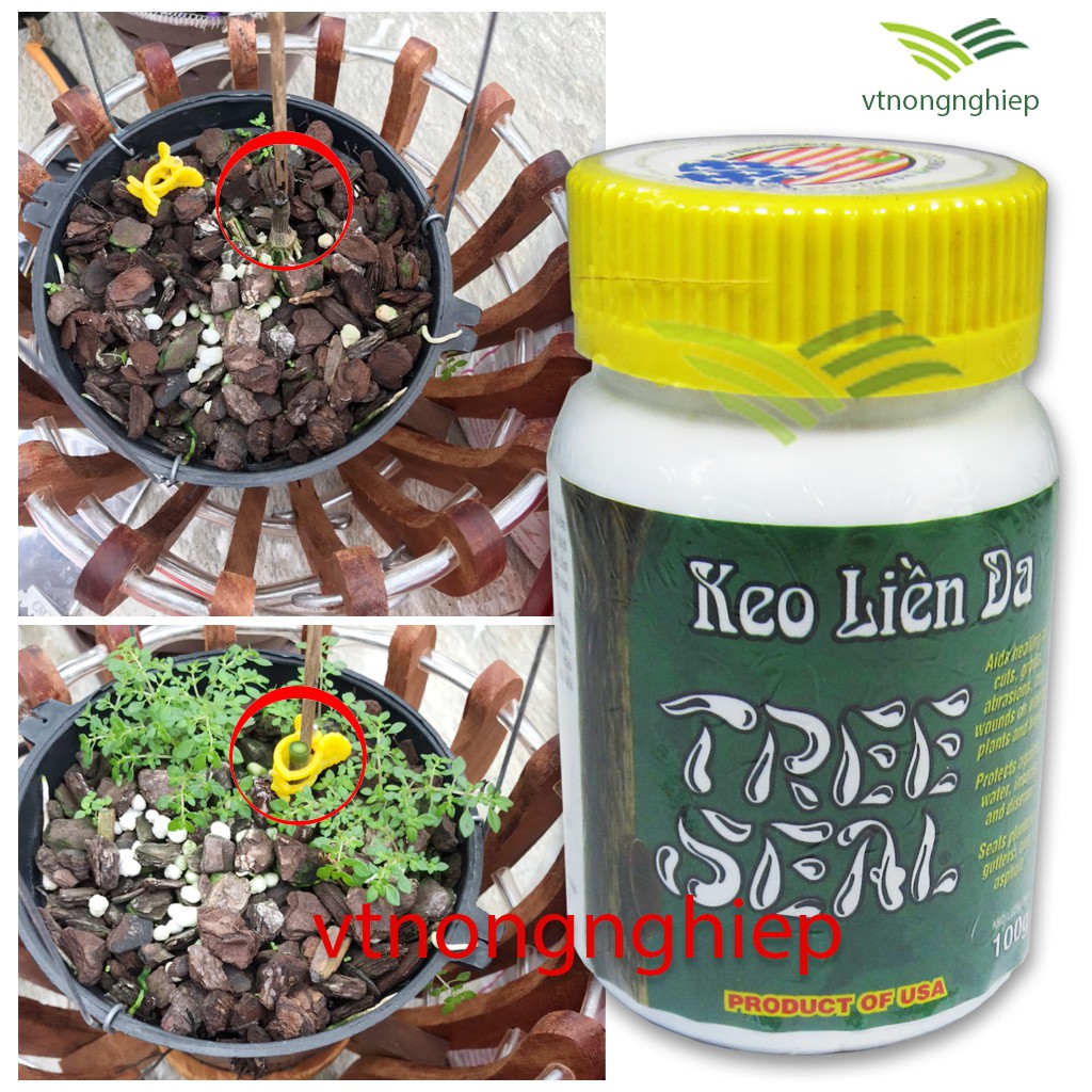 Keo liền da Mỹ -Grow More 100(g)
