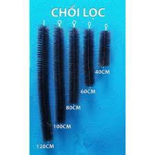 Chổi lọc nước hồ koi