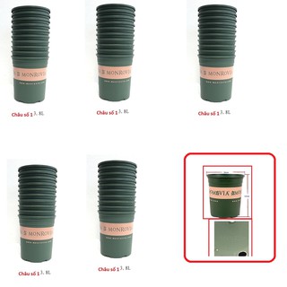 Set 50 chậu nhựa mo cỡ số 1 đường kính 16.5 cm x cao 17 cm
