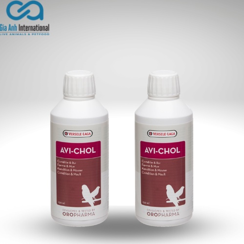 Vitamin hỗ trợ gan cho chim cảnh Versele-laga Oropharma Avi-Chol - 250ML