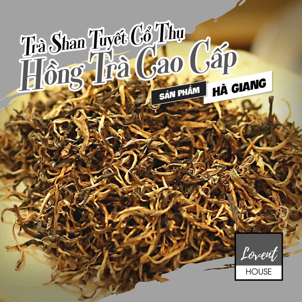 Hồng Trà cao cấp Shan Tuyết Cổ Thụ Hà Giang- Một Búp Một Lá- 100g Hương thơm, hậu ngọt đắng dư vị lâu [Lovent House]