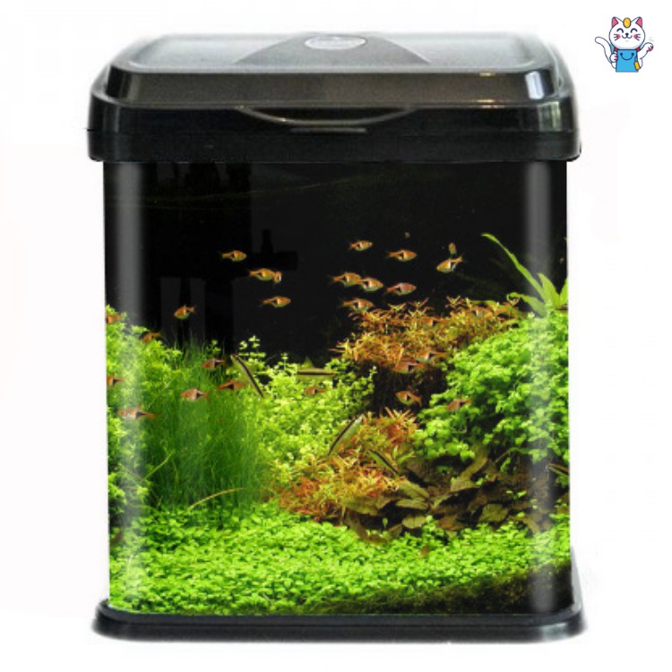 [RẺ VÔ ĐỊCH] Bể cá cảnh mini để bàn , bể cá thủy sinh aquarium đẹp thư giãn xả stress mã RS230EL