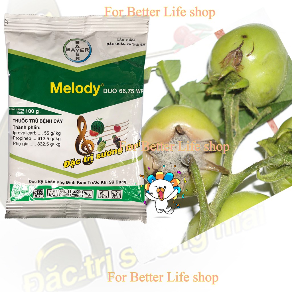 Thuốc Trừ Bệnh MỐC SƯƠNG MELODY Gói 100gr.