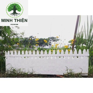 Combo 2 Chậu hàng rào lớn 65cmx20cmx21cm