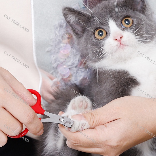 KỀM CẮT MÓNG CHO CHÓ MÈO