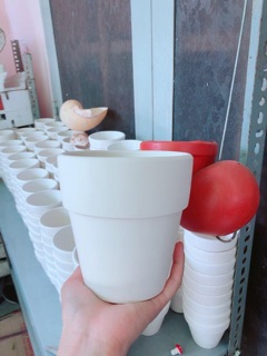 Chậu đất nung