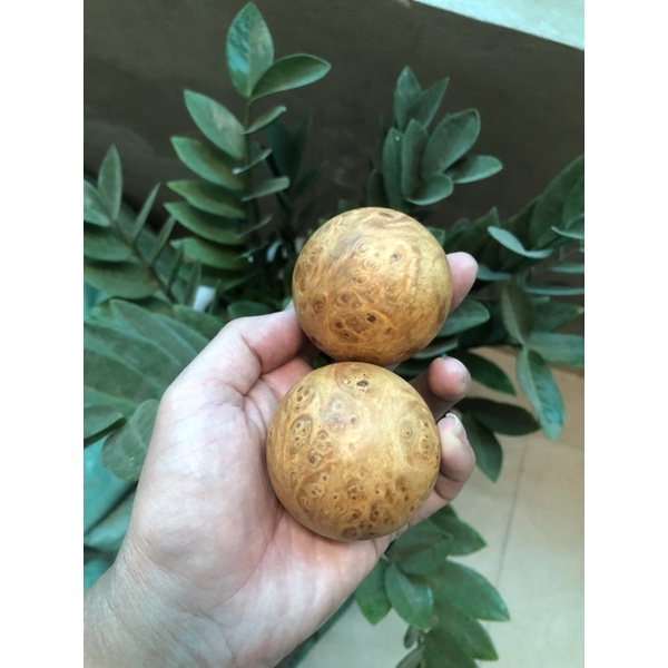 Bi nu huyết long tuyển vân đốm vàng dục thơm nức 5cm