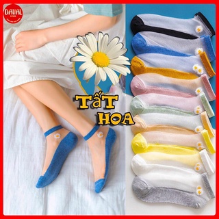Tất nữ hoa cúc họa mi hot trend