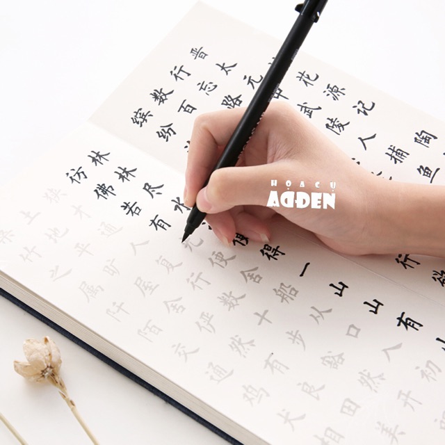 [DA ĐEN] Bút Sakura Pigma Brush Chuyên Nghiệp Thư Pháp, Lettering