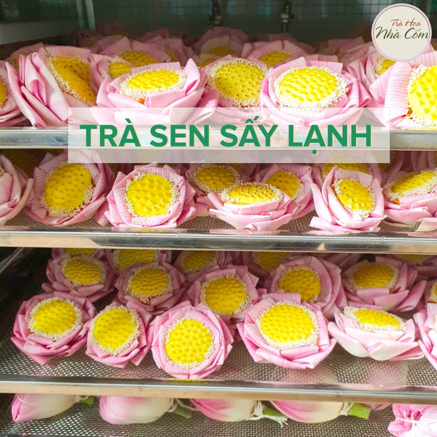 TRÀ HOA SEN SẤY LẠNH