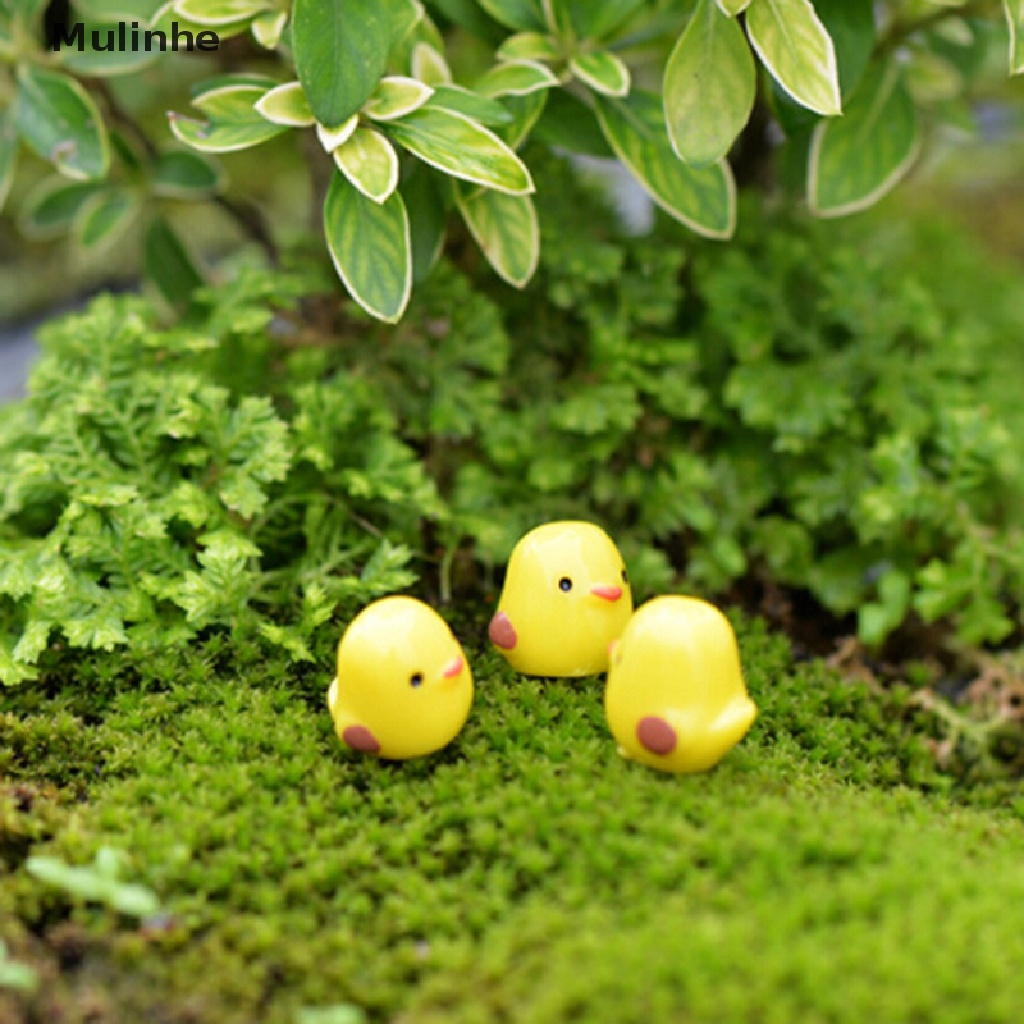 Mulinhe Set 5 Tượng Gà Con Màu Vàng mini Trang Trí Vườn Thu Nhỏ DIY