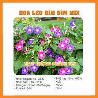 Hạt giống hoa leo bìm bìm mix - 50 hạt